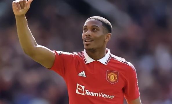 練佩萊格里 練佩萊格里