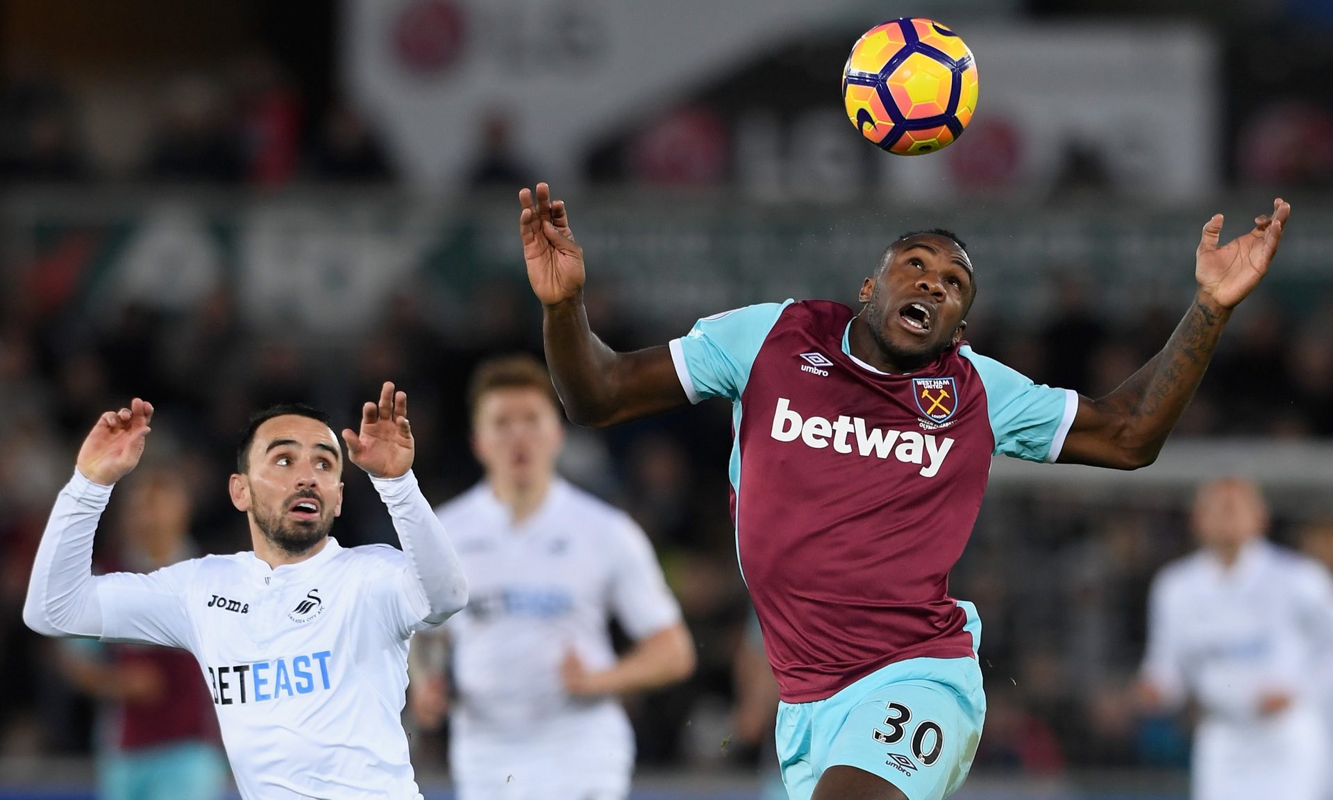 崔永熙个人 崔永熙个人